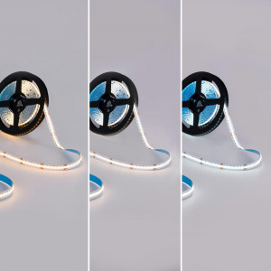 24V DC COB LED Strip - RGB + CCT - 19W/m - 12mm - IP20 - 5 meters roll