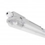 Kit 60cm waterproof LED batten + 9W LED T8 tube - 6000K