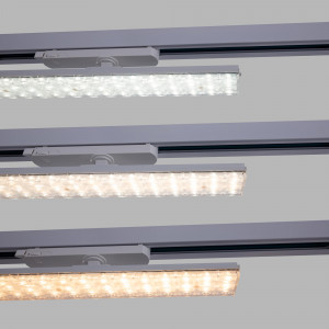 Linear adjustable LED spotlight for 3-phase track - 20W - CCT - CRI90 - Driver KGP - White