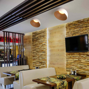 CCT LED slant ceiling light - 24W - Wood effect - ø50cm