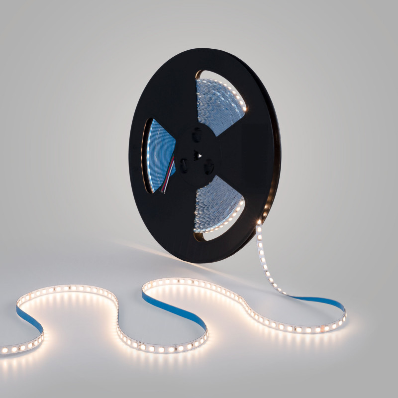 LED Strip 48V DC - RGBWW - 12W/m - 10mm - IP20 - 20 metres - 90LED/m | LED lights LED Strip 48V DC - RGBWW - 12W/m - 10mm - IP20 - 20 metres - 90LED/m | LED lights