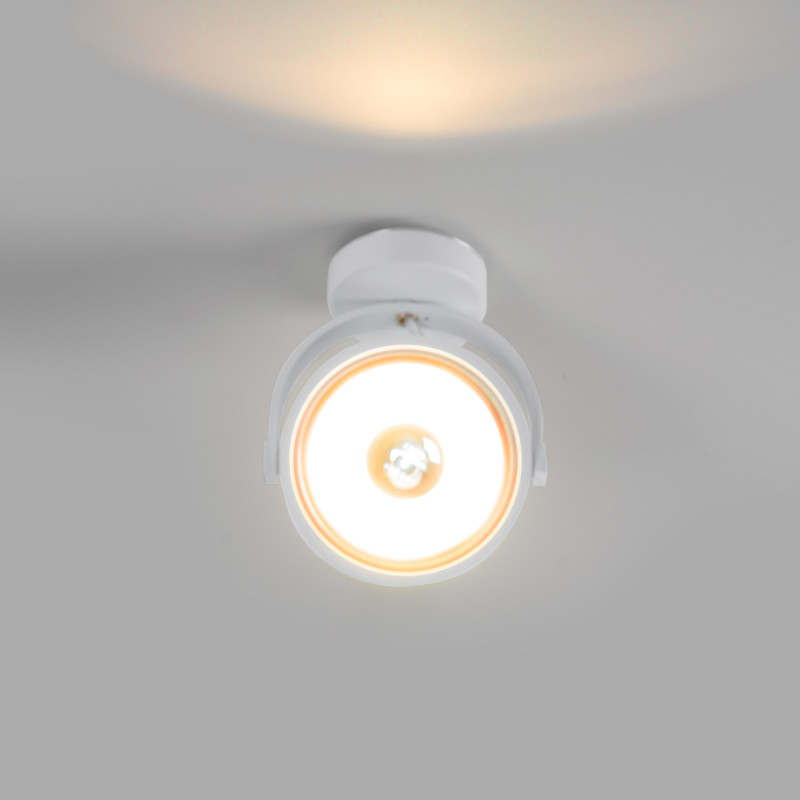 Adjustable ceiling spotlight "IRIS" + AR111 GU10 light bulb