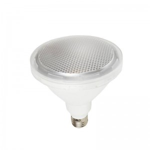 LED Bulb PAR38 E27 12W IP65