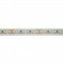 LED Strip 24V DC - Monochrome - 18W/m - 12mm - IP67 - 5 metres - 120LED/m
