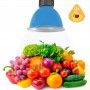 Red LED Bell 30W special for Fruits and Vegetables