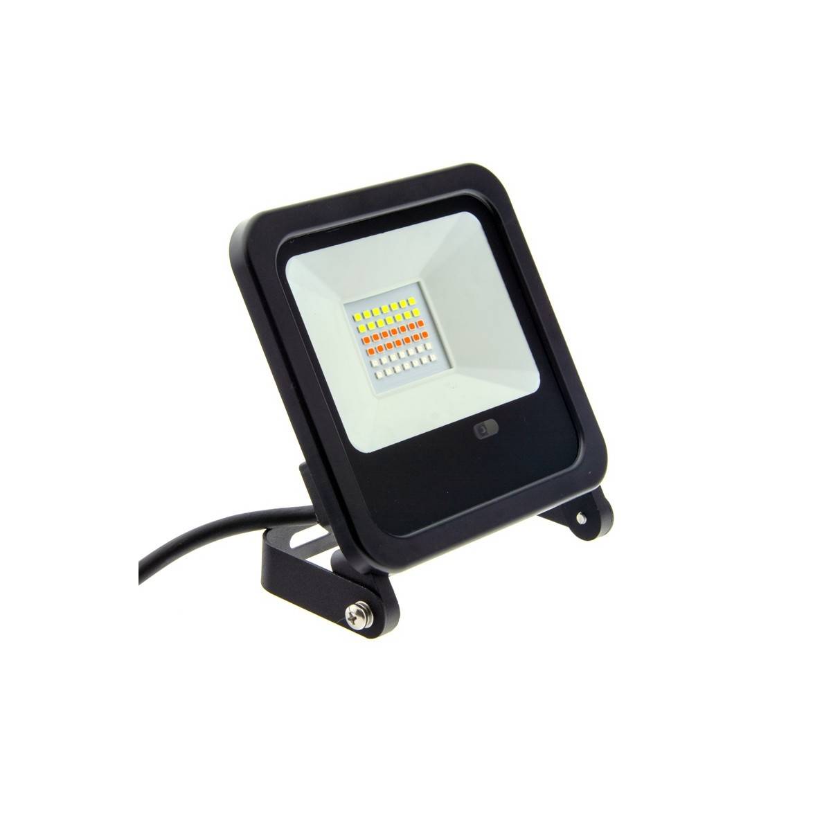 RGB LED floodlight 30W IP65 with 24-key remote control and stake