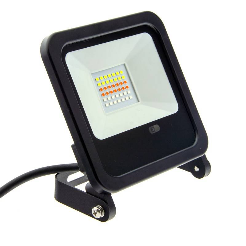Buy LED RGB floodlight 30W IP65 230V 230V with remote control and stake
