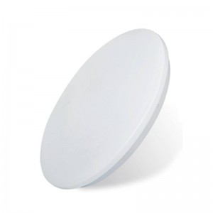 BASIC 18W LED surface mounted ceiling lamp