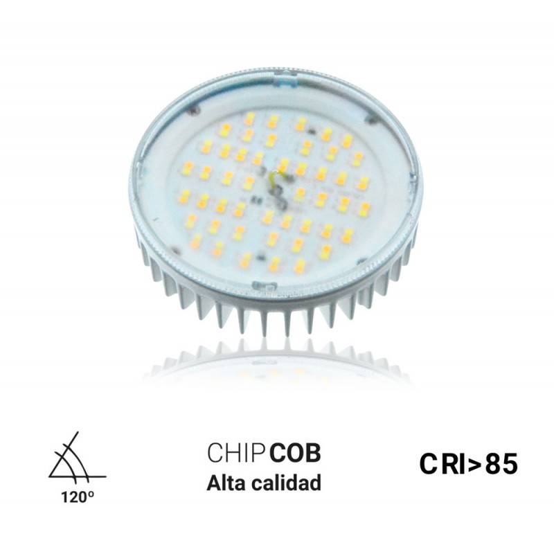 βολβός fumagalli βολβός fumagalli