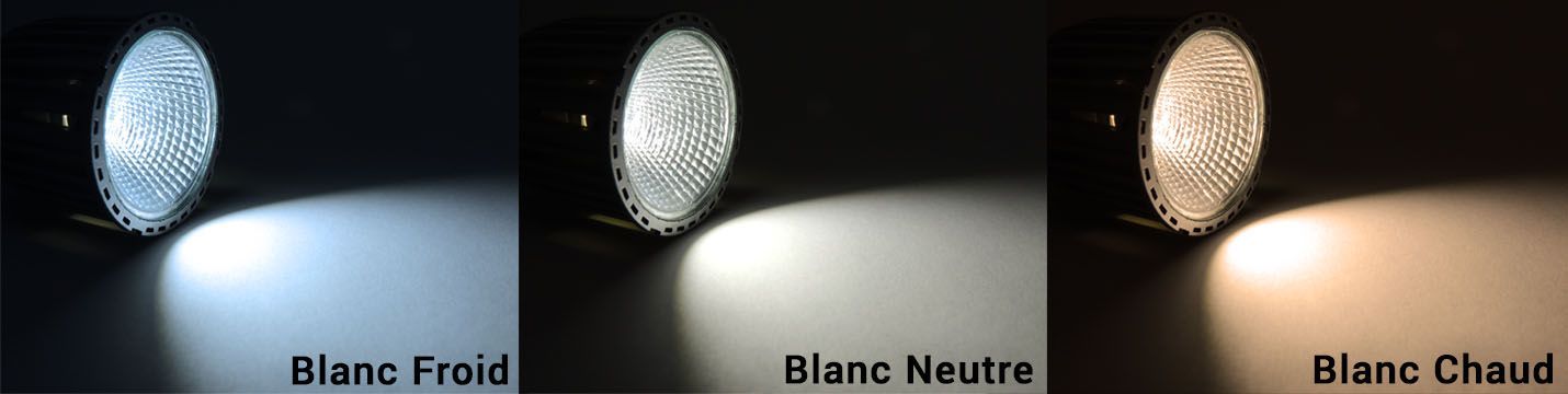 spectres blancs