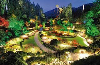 iluminación de colores con bombillas par led de todo un jardin