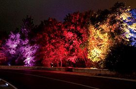 Crea ambientes diferentes con los proyectores de suelo RGB