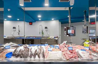 iluminación de pescadería con focos led
