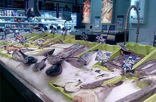 acentuar pescados con focos led