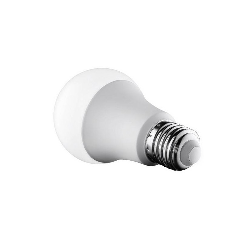 Lampadina LED E27 A65 14W 1400Lumen