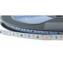 Striscia LED 24V-DC - 9W/m - monocolore - 10mm - IP20 - Rotolo 50 metri - 60 chip/m - Taglio 10cm