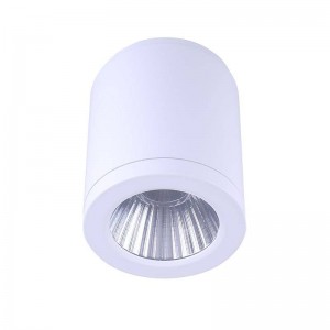 CCT "GESS" lampada da soffitto COB 25W IP54