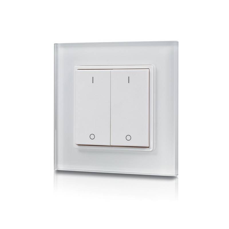 Controllore a pulsante RF + WiFi a due tasti monocolore