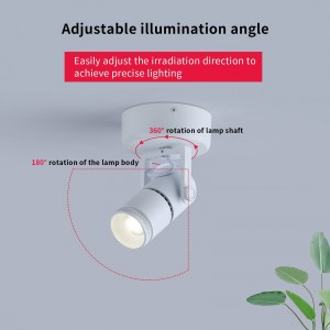 Lampade a soffitto e a parete LED COB Orientabile com ângulo de luz  ajustável 12W | Faretti LED