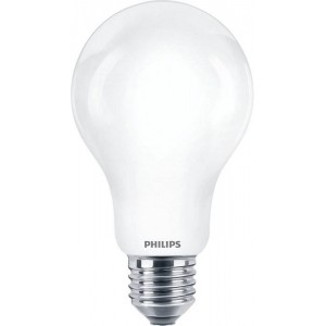 Lampadina LED Philips E27