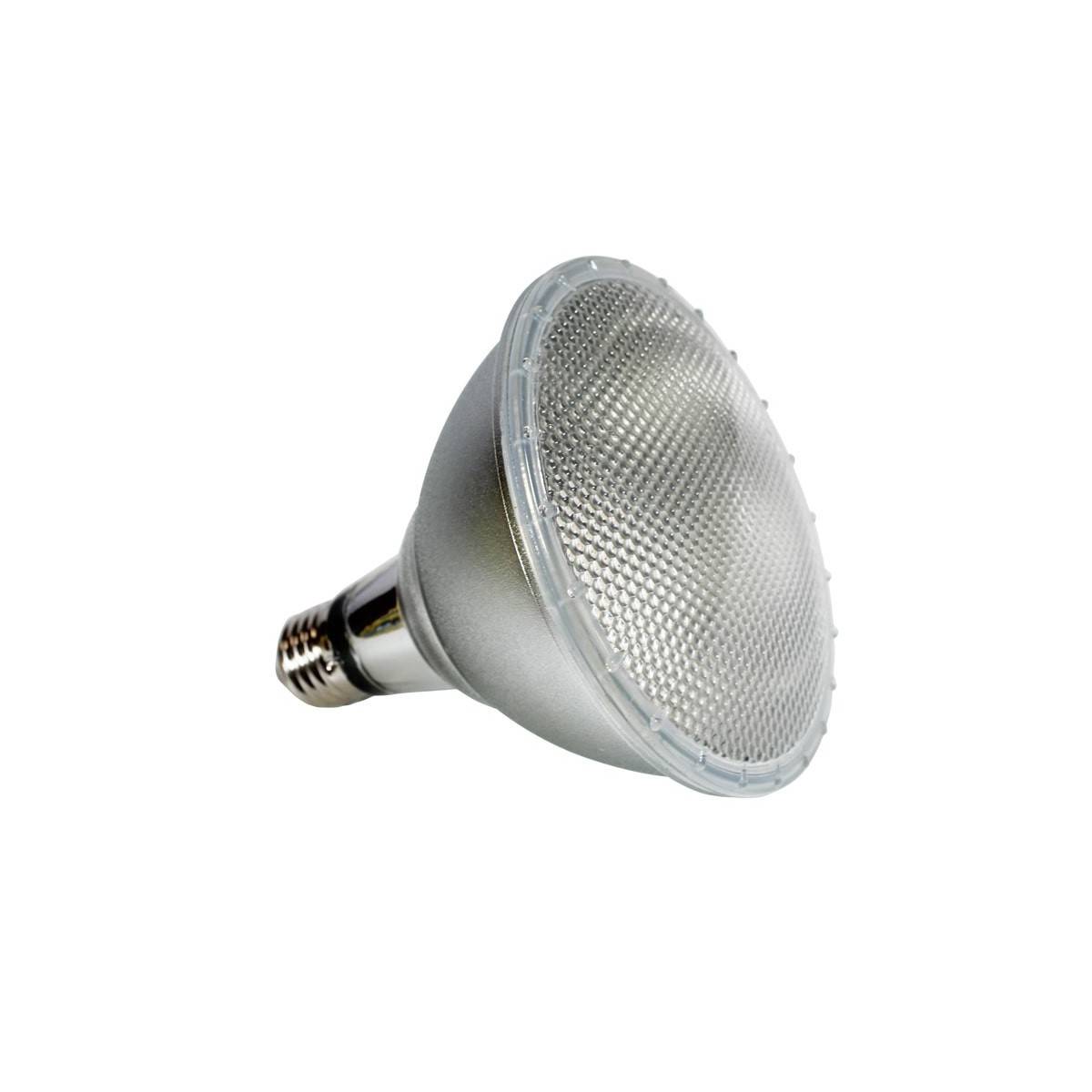 Lampadina LED PAR38 E27 12W IP65