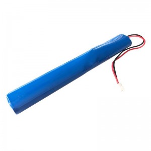 Kit di conversione per luce di emergenza per apparecchi LED 20W