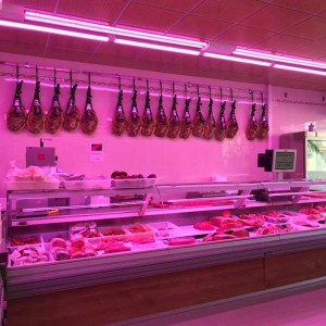 LED T8 nano tubo speciale macelleria 90cm 14W