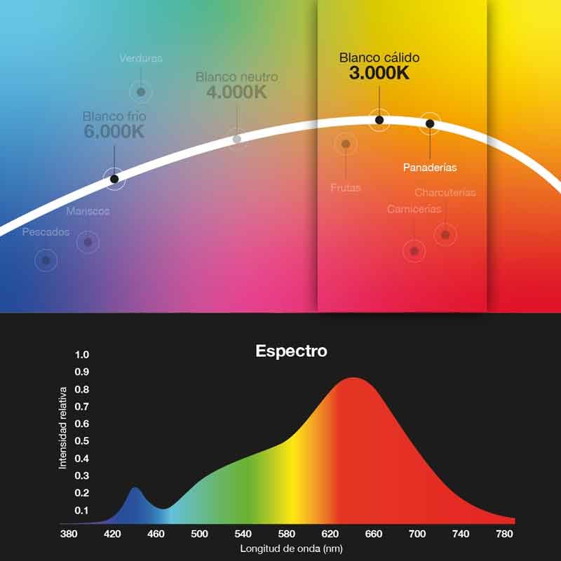 Faretto LED a binario trifase 30W per panifici Faretto LED a binario trifase 30W per panifici