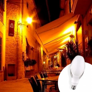 Lampadina LED ED90 E27 per lampione 40W