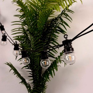 Ghirlanda luminosa a LED 10 lampadine integrate - 8 metri