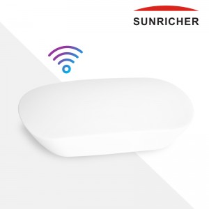 Convertitore da WIFI a RF Sunricher - Serie RF perfetta