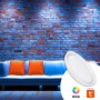 Plafoniera SMART LED - RGBCW WIFI montaggio a superficie 30W - IP20