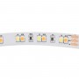 Striscia LED 24V-DC - 90W - temperatura colore dimmerabile CCT - 1800-6500K - SMD2835 - rotolo 5 metri