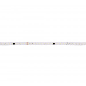 Striscia LED monocolore smart IC 24V DC - 15W/m - IP20 - 120LED/m - Larghezza 10mm - 10 metri