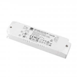 Driver dimmerabile DALI DT8 CCT 220-240V - Uscita 6-42V DC - 100-700mA - 15W