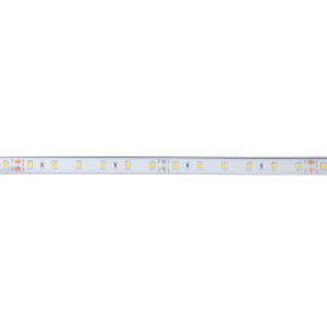 Striscia LED 24V DC - 12W/m - Monocolore - 12mm - IP67 - 5 metri - SMD2835 60LED/m