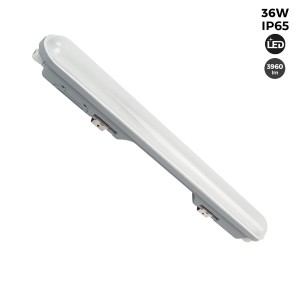 Pack x 24 - Plafoniera stagna LED collegabile 36W - 120 cm - IP65