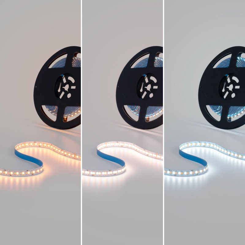 Striscia LED 48V DC - CCT - 12W/m - 10mm - IP20 - 10 metri - 224 LED/m