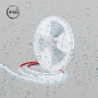 Striscia LED a tenuta stagna 48V DC - Monocolore - 9,6W/m - 12 mm - IP68 - 20 metri - 168LED/m