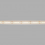 Striscia LED 24V DC a tenuta stagna - monocolore - 9,6W/m - 12mm - IP68 - 10 metri - 120LED/m