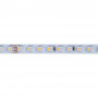 Striscia LED 48V DC - RGBWW - 12W/m - 10mm - IP20 - 20 metri - 90LED/m | strisce LED adesive
