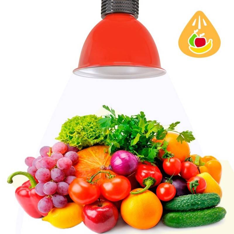 Campana LED 30W speciale per fruttivendoli e frutterie