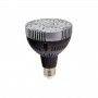 Lampadina LED PAR30 E27