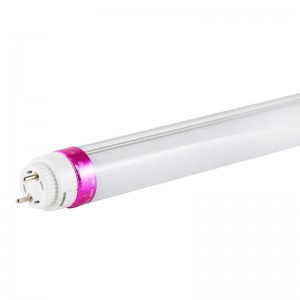 Tubo LED T8 speciale per macelleria 10W 600mm