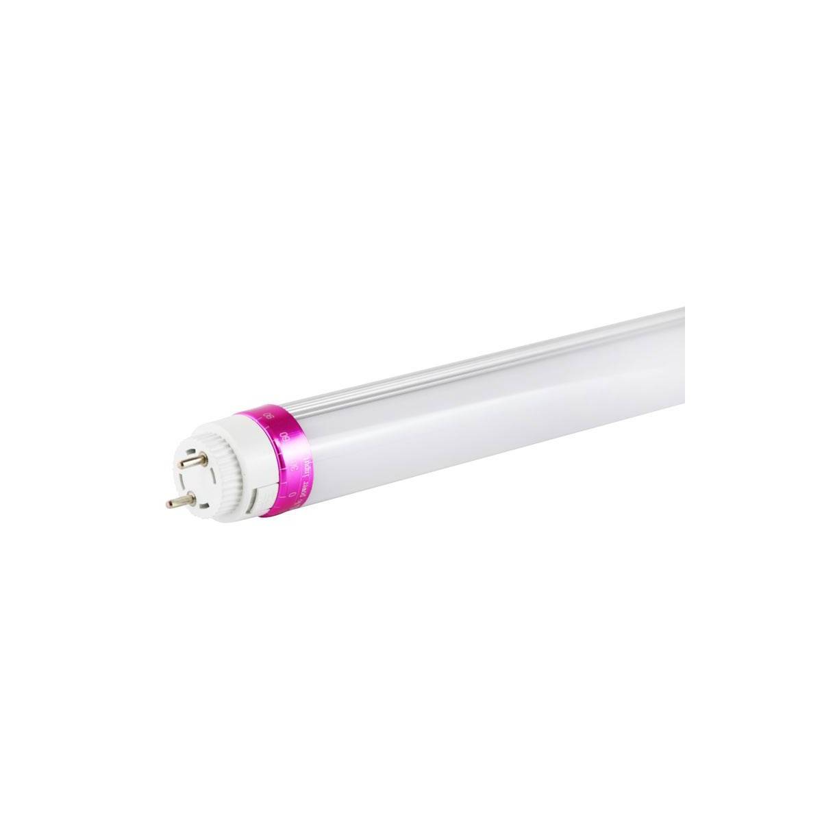 Tubo LED T8 speciale Delicatessen 10W 600mm