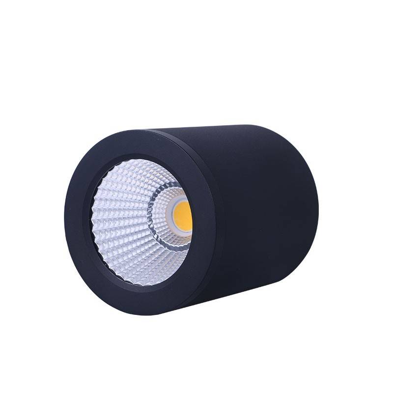 CCT mini "GESS" plafondlamp COB 15W IP54 CCT mini "GESS" plafondlamp COB 15W IP54