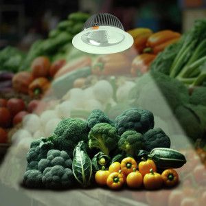 LED inbouwspot voor groentewinkels - 44W - Philips driver - Zaagmaat Ø210 mm