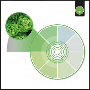 LED inbouwspot voor groentewinkels - 44W - Philips driver - Zaagmaat Ø210 mm