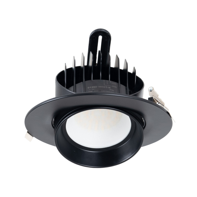 Verstelbare ronde LED downlight CCT 38W - Zwart - 120° Driver LIFUD
