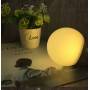Lâmpada LED Globo E27 G120 20W Lâmpada LED Globo E27 G120 20W